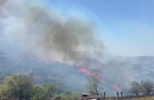 İstanbul’da yol kenarında yangın: Birçok ilçeden itfaiye ekipleri sevk edildi