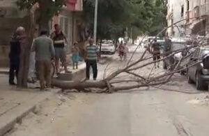 Edirne’de rüzgar ve kuvvetli sağanak etkili oldu! Ağaçlar devrildi, caddeler göle döndü