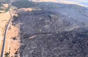 Eskişehir’deki orman yangını kontrol altına alındı! Bir çiftçi gözaltında