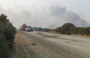 Gelibolu Yarımadası’ndaki yangınla ilgili bir şüpheli gözaltına alındı