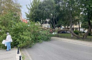 Kadıköy’de sert esen rüzgar ağacı devirdi!
