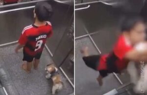 Bir an olsun düşünmedi! Kahraman çocuk asansörde sıkışan köpeği tek başına kurtardı