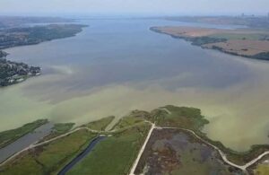 Uzmanlar Küçükçekmece Gölü için uyardı! Metal, petrol kirliliği, azot…
