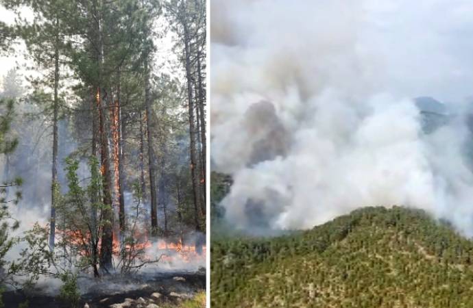 Beş ilde orman yangını! Denizli’de 20 hektar kül oldu