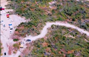 Drone görüntüleri Akbelen’deki ağaç katliamını gözler önüne serdi