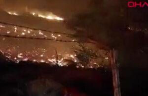 Bodrum’da orman yangını! 15 dönüm alan yandı
