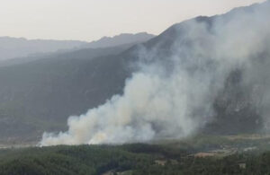 Antalya’da orman yangını! 1,5 hektar alan zarar gördü