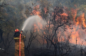 Yunanistan yanıyor! Tek bir bölgede 81 bin hektar alan kül oldu