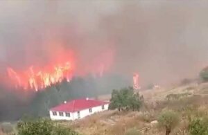 Bolu’da yaylada orman yangını
