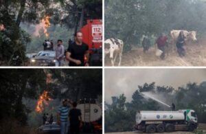 Bursa’da orman yangını! Alevler mahalleye yaklaştı, havyanlar tahliye edildi