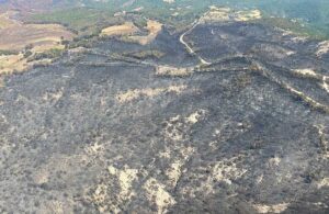 Çanakkale’de bu yıl içinde 319 futbol sahası büyüklüğünde orman yandı