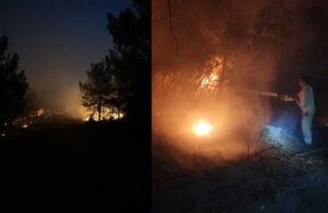 İzmir’de iki ilçe arasında orman yangını çıktı