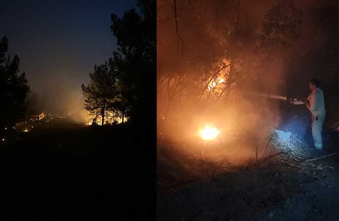 İzmir’de iki ilçe arasında orman yangını çıktı
