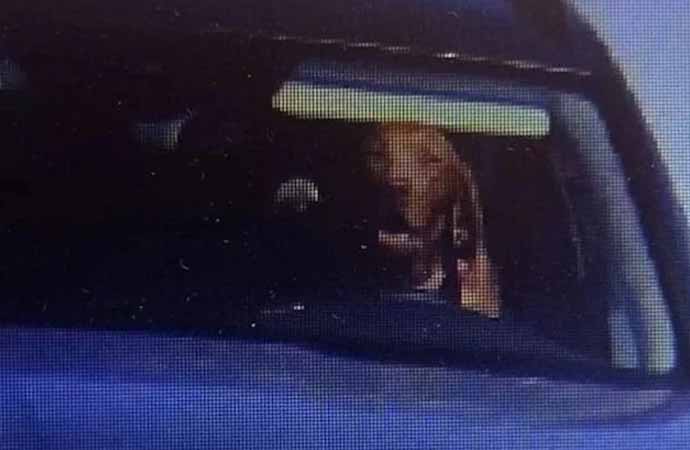 Otomobil kullanan köpek mobeseye yakalandı