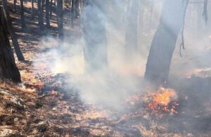 Muğla’da orman yangını: Ekipler sevk edildi