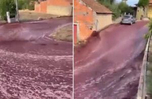 İçki fabrikasındaki tanklar çökünce 2 milyon litre şarap sokakları nehre çevirdi