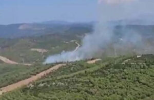 İzmir’deki orman yangını söndürüldü!