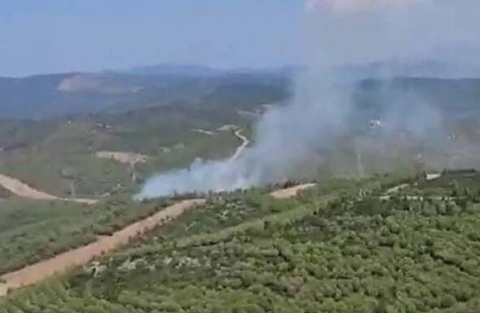 İzmir’deki orman yangını söndürüldü!