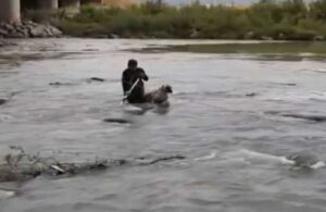 Köprü altında mahsur kalan köpek kurtarıldı