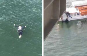 Haliç Köprüsü’nde metroya giden kadın denize düştü! Dakikalarca suyun üzerinde baygın kaldı