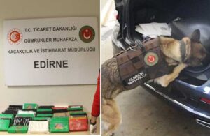Büyükelçilik aracında uyuşturucu skandalı! 55 kilo kokaini Türkiye’ye sokarken yakalandılar