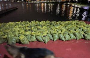 İstanbul’da 4 ton kaçak midye yakalandı!