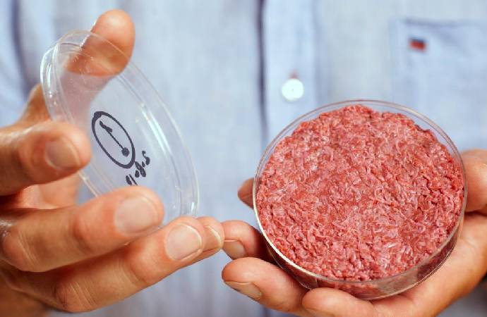 İtalya yapay eti kullanımını yasakladı