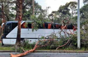 Antalya’da servis otobüsünün üstüne çam ağacı devrildi: Yedi yaralı