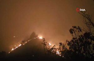Trabzon’da orman yangını kontrol altına alındı! 3 itfaiye eri hastaneye kaldırıldı