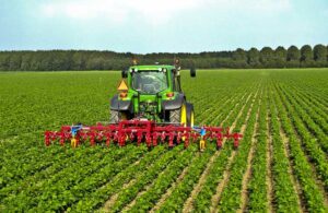 Tarım kooperatifleri hakkında yeni yönetmelik: Ayrıcalık sağlanacak