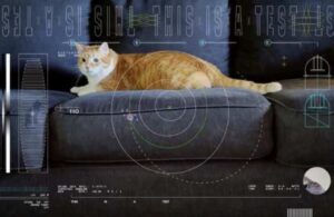 Uzaydan gelen kedi videosu! NASA 31 milyon kilometre öteden gönderdi