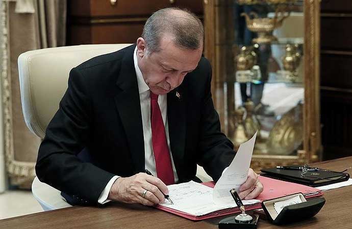 Erdoğan, görevden alma, TÜİK, Resmi Gazete