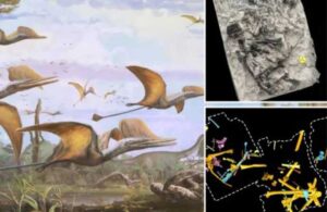 166 milyon yıllık uçan dinozor keşfedildi