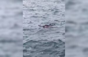 Sarıyer’de intihar girişimi! Denize atladı vatandaşlar kurtardı