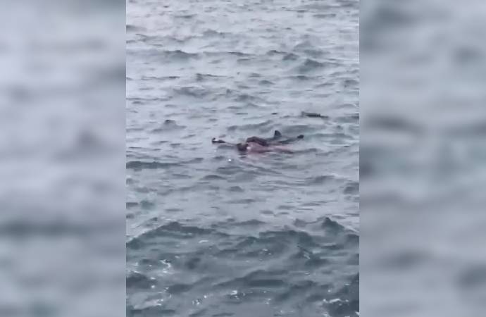 Sarıyer’de intihar girişimi! Denize atladı vatandaşlar kurtardı