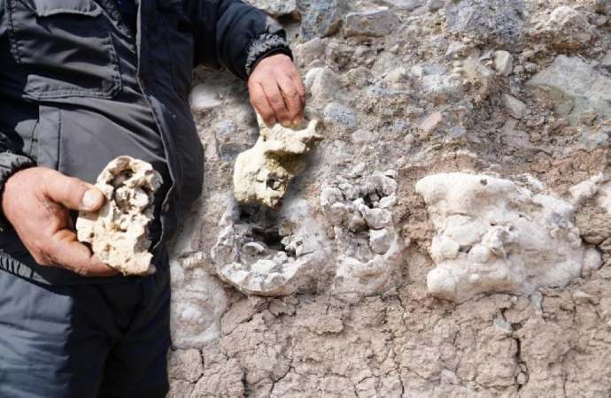 Niğde’de bulunan kemikler merak konusu oldu! ‘Dinozor fosili olabilir’