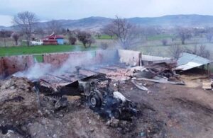 Amasya’da çiftlikte yangın: 150’den fazla hayvan telef oldu