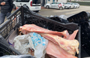 Çöpte eti sıyrılmış at kemikleri bulundu