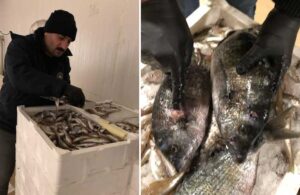 İstanbul’da operasyon! 4 ton balığa el konuldu