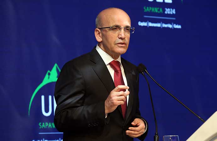 Mehmet Şimşek, Hazine ve Maliye Bakanlığı, ekonomi, maliye politikası, enflasyon