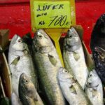 Kırmızı ete gelen zamların ardından balık fiyatları da katlandı