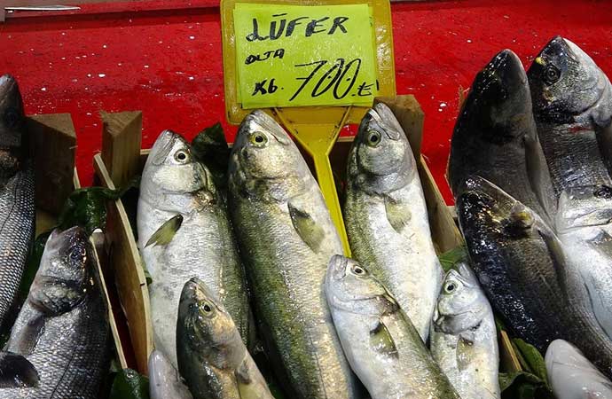 Kırmızı ete gelen zamların ardından balık fiyatları da katlandı