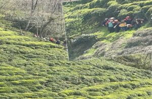 Rize’de teleferik kazası: 30 metre yükseklikten çay bahçesine düştüler