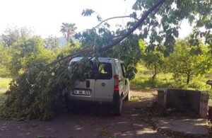 Muğla’da fırtına etkili oldu! Ağaçlar otomobillerin üzerine devrildi
