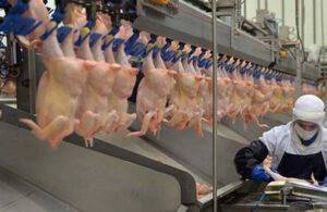 Bakanlıktan son 5 ayda yüzde 200 zamlanan tavuk eti için flaş karar