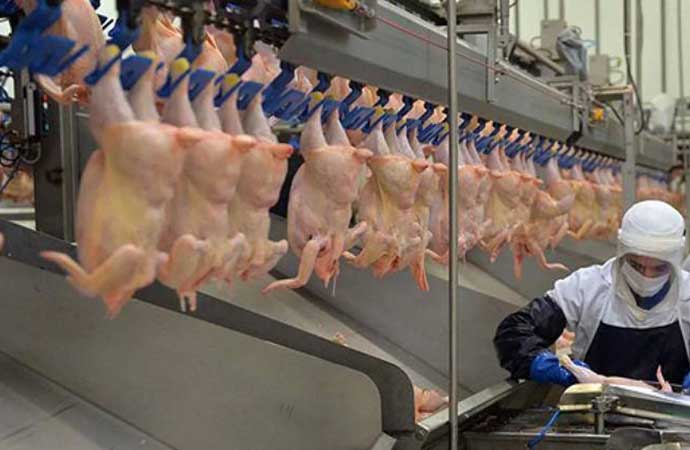 Bakanlıktan son 5 ayda yüzde 200 zamlanan tavuk eti için flaş karar