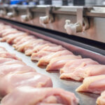 CHP’den bakanlığın tavuk ihracatı kısıtlamasına tepki: Sektörün durmasına sebep olacak