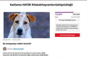 Türkiye’de sokak hayvanları tartışması büyüyor! İki günde 100 binin üzerinde imza toplandı
