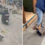 Kadıköy’de pitbull saldırısı! Bir gözaltı