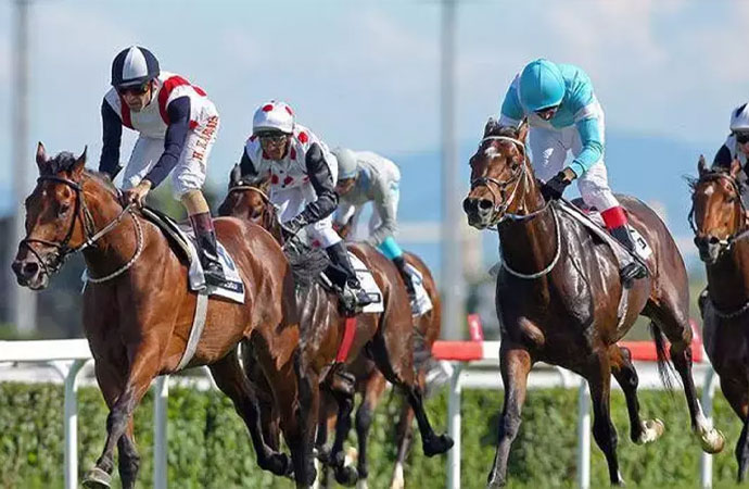 At yarışlarındaki ‘doping’ kavramı değişti
